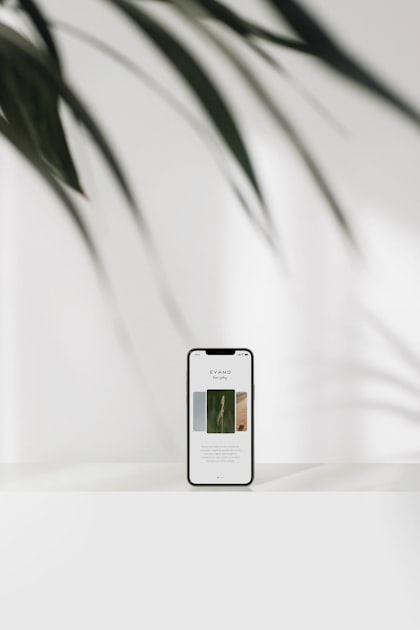 The Importance of User Feedback in Alpha Testing