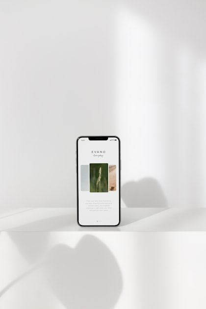 Transitioning from Alpha to Beta Testing